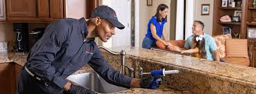 Best Pest Prevention Services  in Flushing, MI