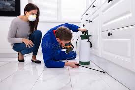 Best Indoor Pest Control  in Flushing, MI